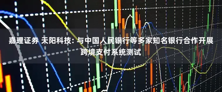嘉理证券 天阳科技: 与中国人民银行等多家知名银行合作开展跨境支付系统测试