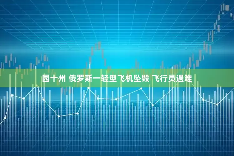 园十州 俄罗斯一轻型飞机坠毁 飞行员遇难