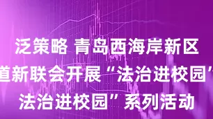 泛策略 青岛西海岸新区红石崖街道新联会开展“法治进校园”系列活动