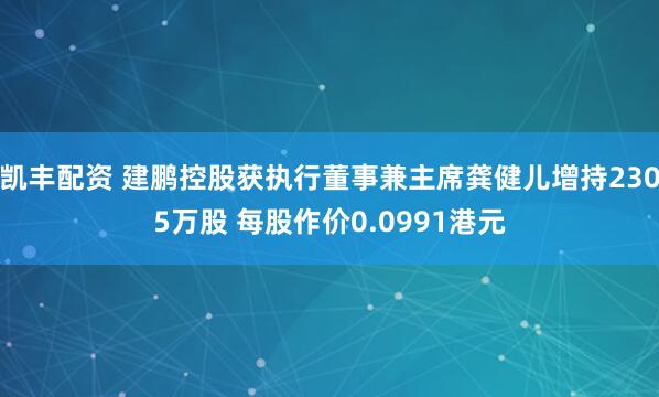 凯丰配资 建鹏控股获执行董事兼主席龚健儿增持2305万股 每股作价0.0991港元