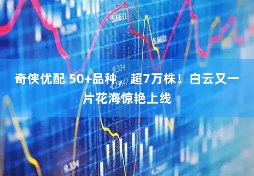 奇侠优配 50+品种，超7万株！白云又一片花海惊艳上线