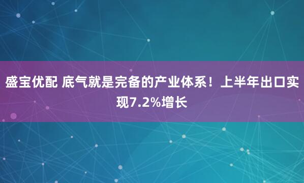 盛宝优配 底气就是完备的产业体系！上半年出口实现7.2%增长