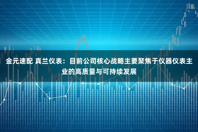 金元速配 真兰仪表：目前公司核心战略主要聚焦于仪器仪表主业的高质量与可持续发展